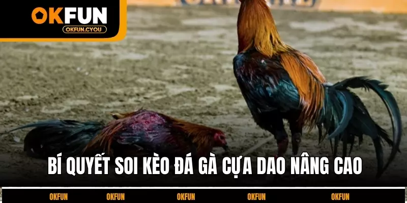 bi-quyet-soi-keo-da-ga-cua-dao-nang-cao