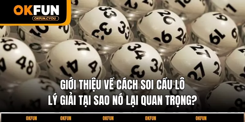 gioi-thieu-ve-cach-soi-cau-lo-ly-giai-tai-sao-no-lại-quan-trong